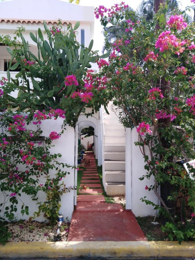 Caraibidamari Hotel Bayahíbe Eksteriør billede